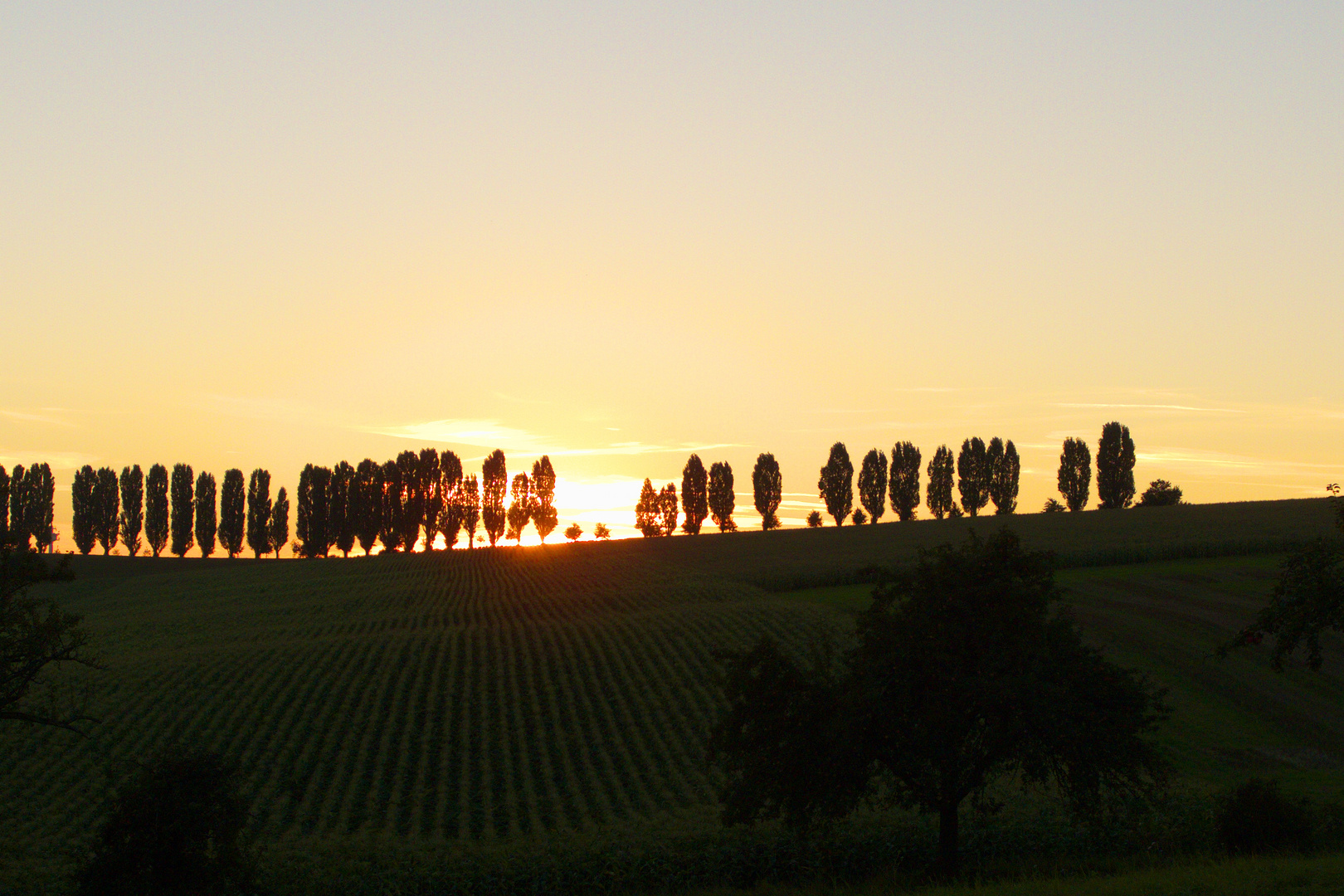 Spätsommerlich