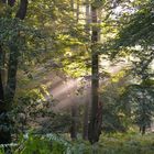 Spätsommerlich oder frühherbstlich