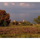 Spätsommerliche Abendstimmung an der Ostseite der Insel S.y.l.t