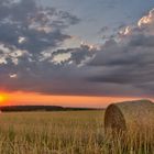 Spätsommerliche Abendstimmung