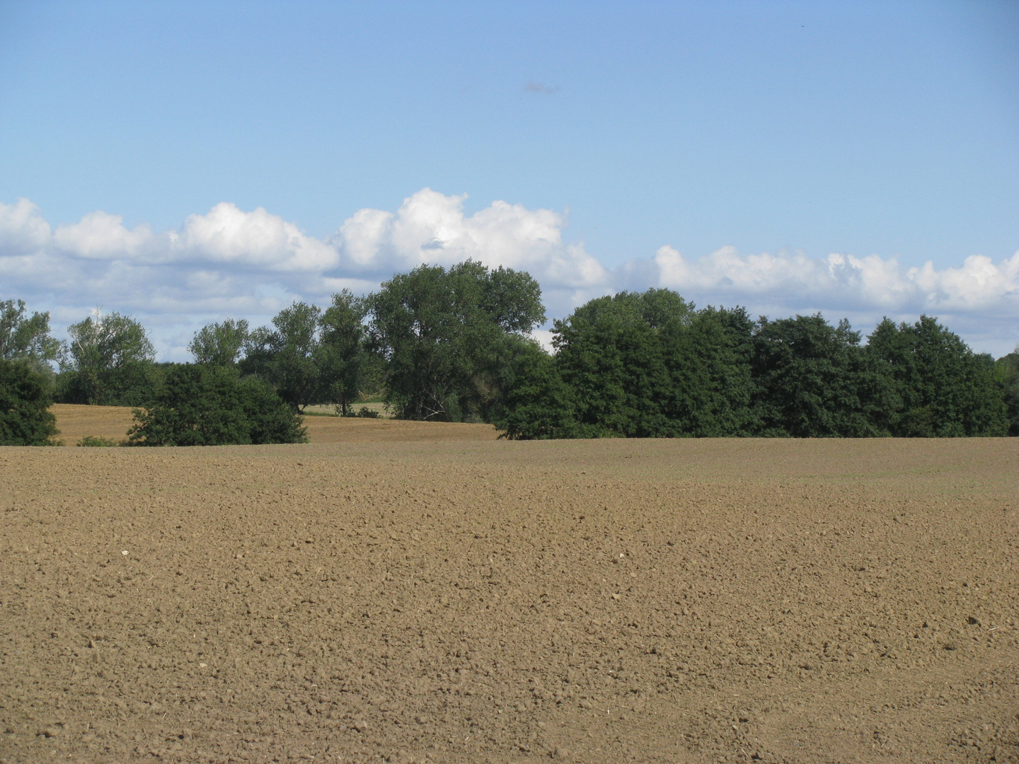 Spätsommerliche Impresionen aus Nordwestmecklenmburg 1