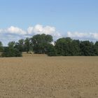 Spätsommerliche Impresionen aus Nordwestmecklenmburg 1