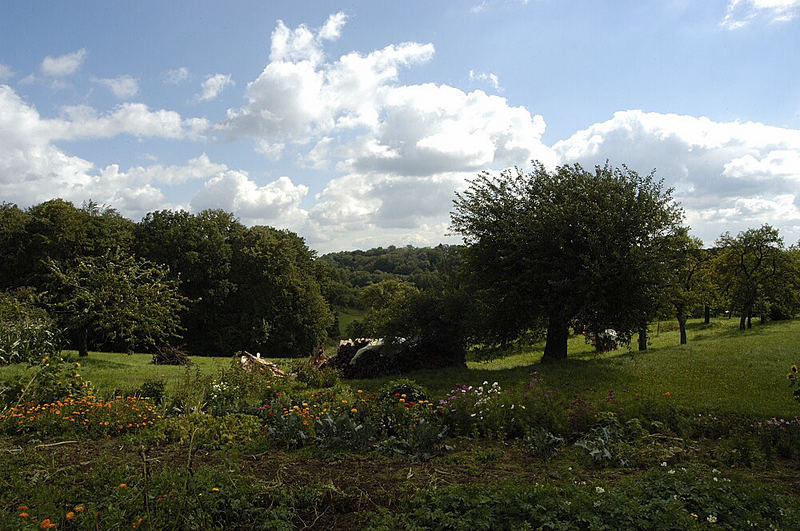 Spätsommerliche Landschaft