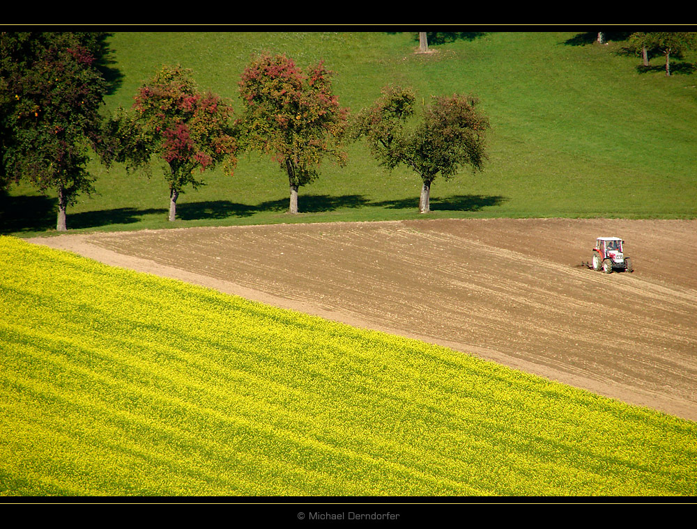 spätsommerliche Landschaftspflege