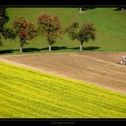 spätsommerliche Landschaftspflege