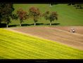 spätsommerliche Landschaftspflege von Michael Derndorfer