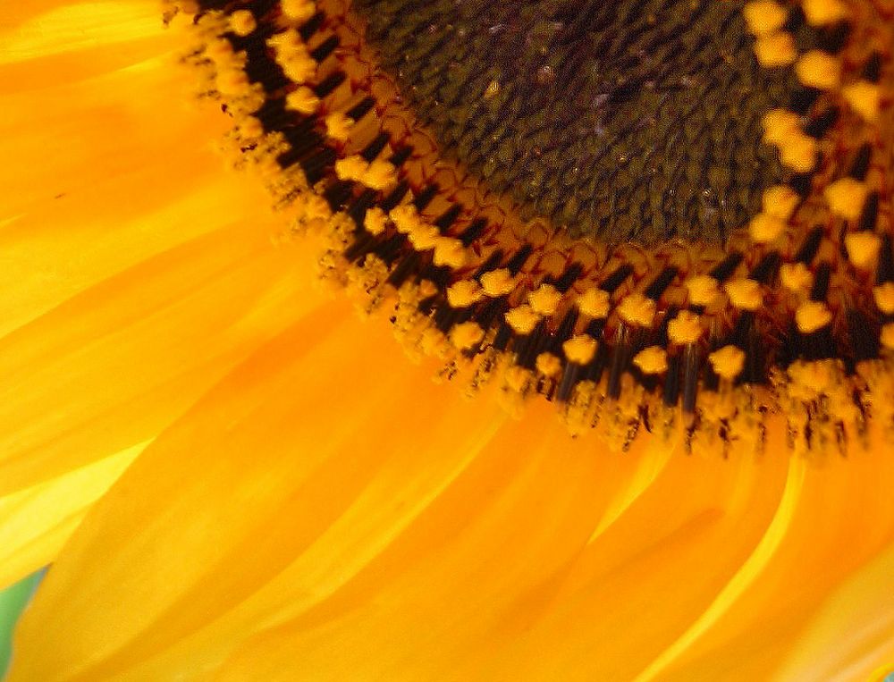 Spätsommerlicher Augenblick