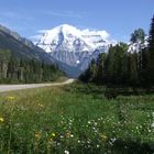 Spätsommerlicher Blumenschmuck am Mt.Robson (13.09.2012)