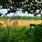 Spätsommerlicher Durchblick