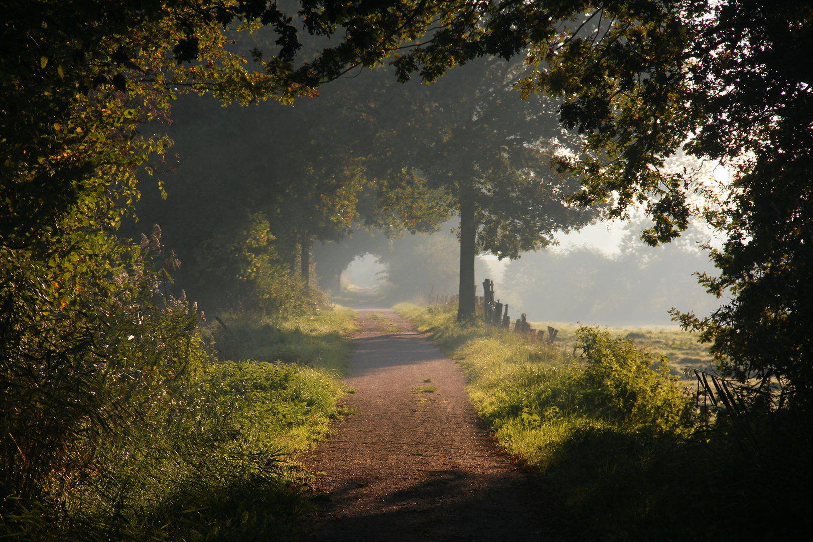 spätsommerlicher Durchblick am frühen Morgen