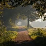 spätsommerlicher Durchblick am frühen Morgen