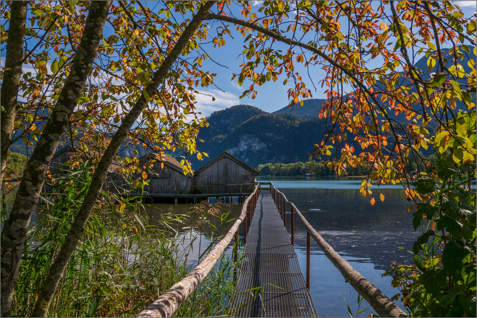 Spätsommerlicher Durchblick