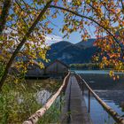 Spätsommerlicher Durchblick