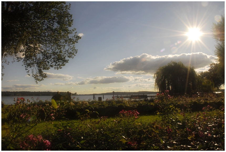 Spätsommerlicher Nachmittag an der Müritz