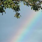 Spätsommerlicher Regenbogen