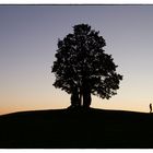 Spätsommerlicher Sonnenuntergang im Kanton Fribourg, CH 