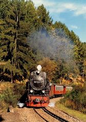 Spätsommerlicher Zug am Thumkuhlenkopf