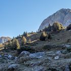 Spätsommerliches Alpenflair