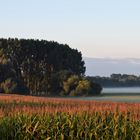 Spätsommerliches Farbenspiel