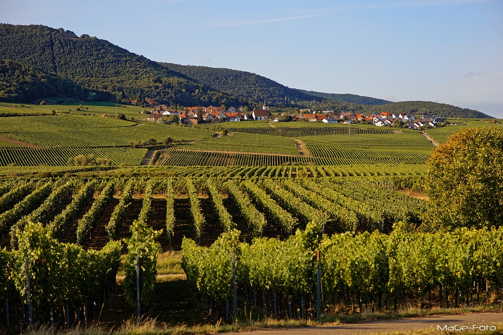 Spätsommerliches Weyher