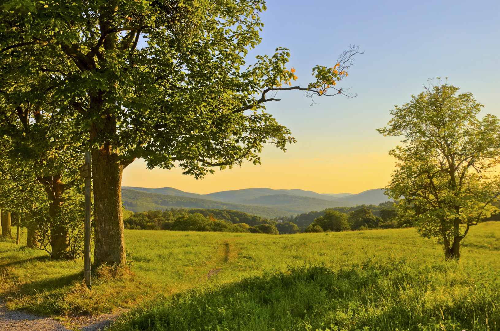 Spätsommerlicht