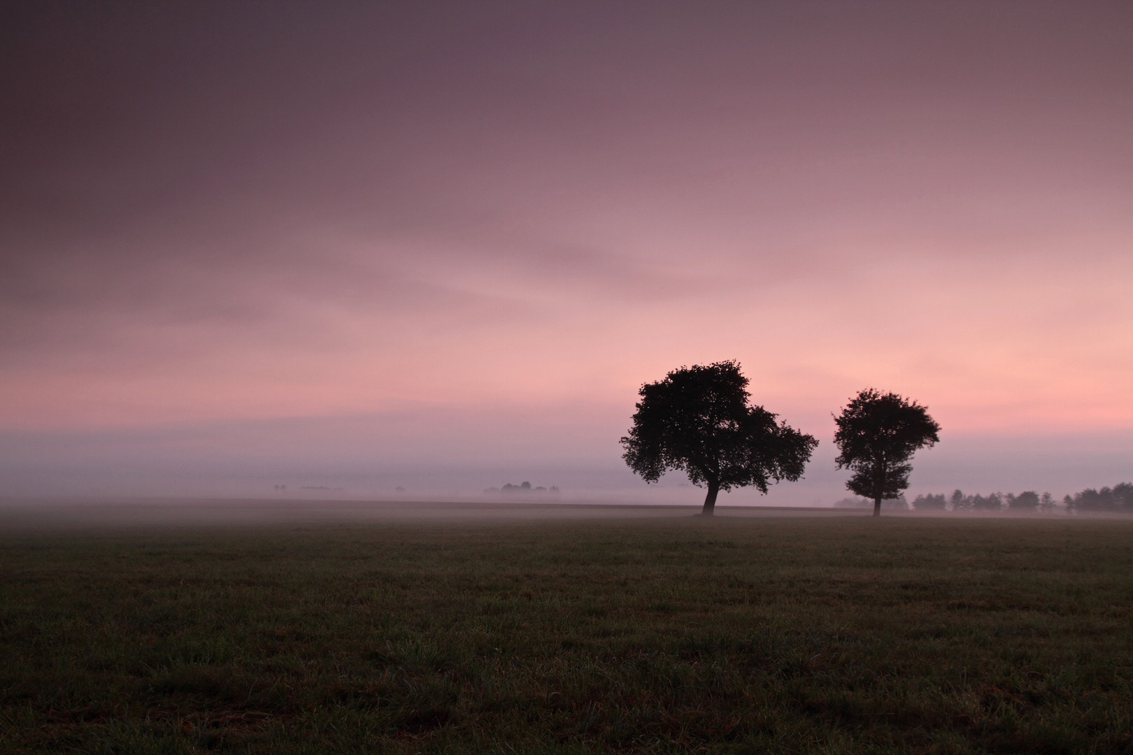 Spätsommermorgen