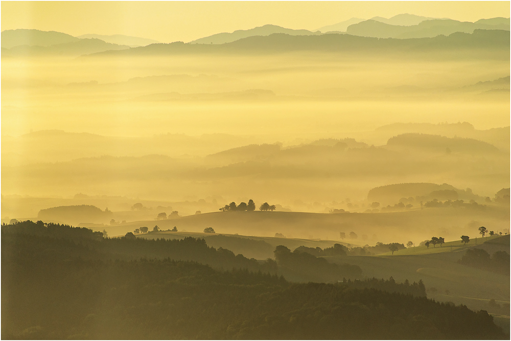 Spätsommermorgen