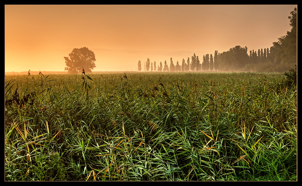 Spätsommermorgen