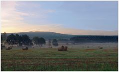 Spätsommermorgen