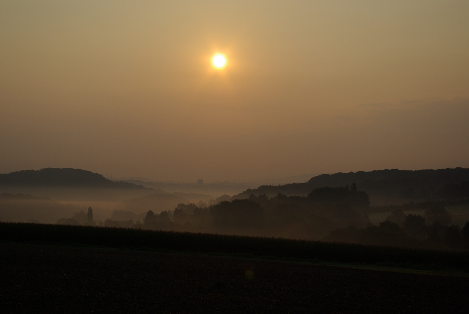 Spätsommermorgen