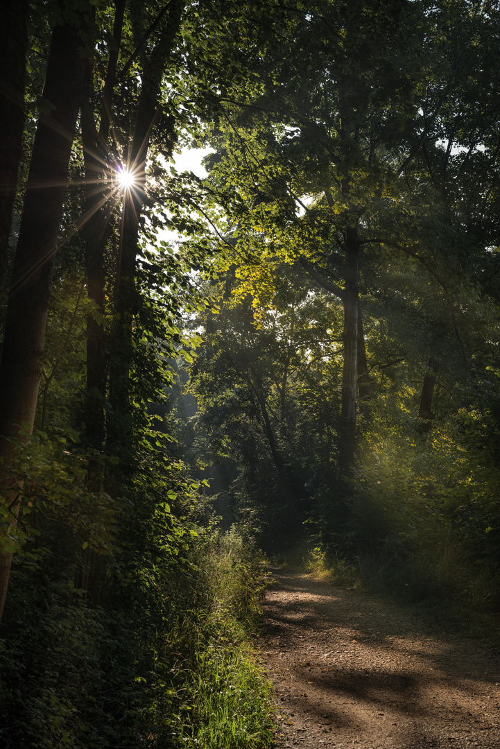 Spätsommermorgen