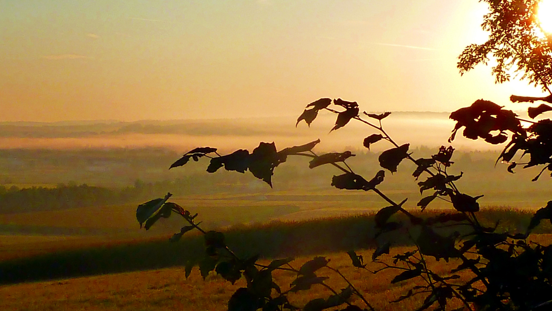 Spätsommermorgen