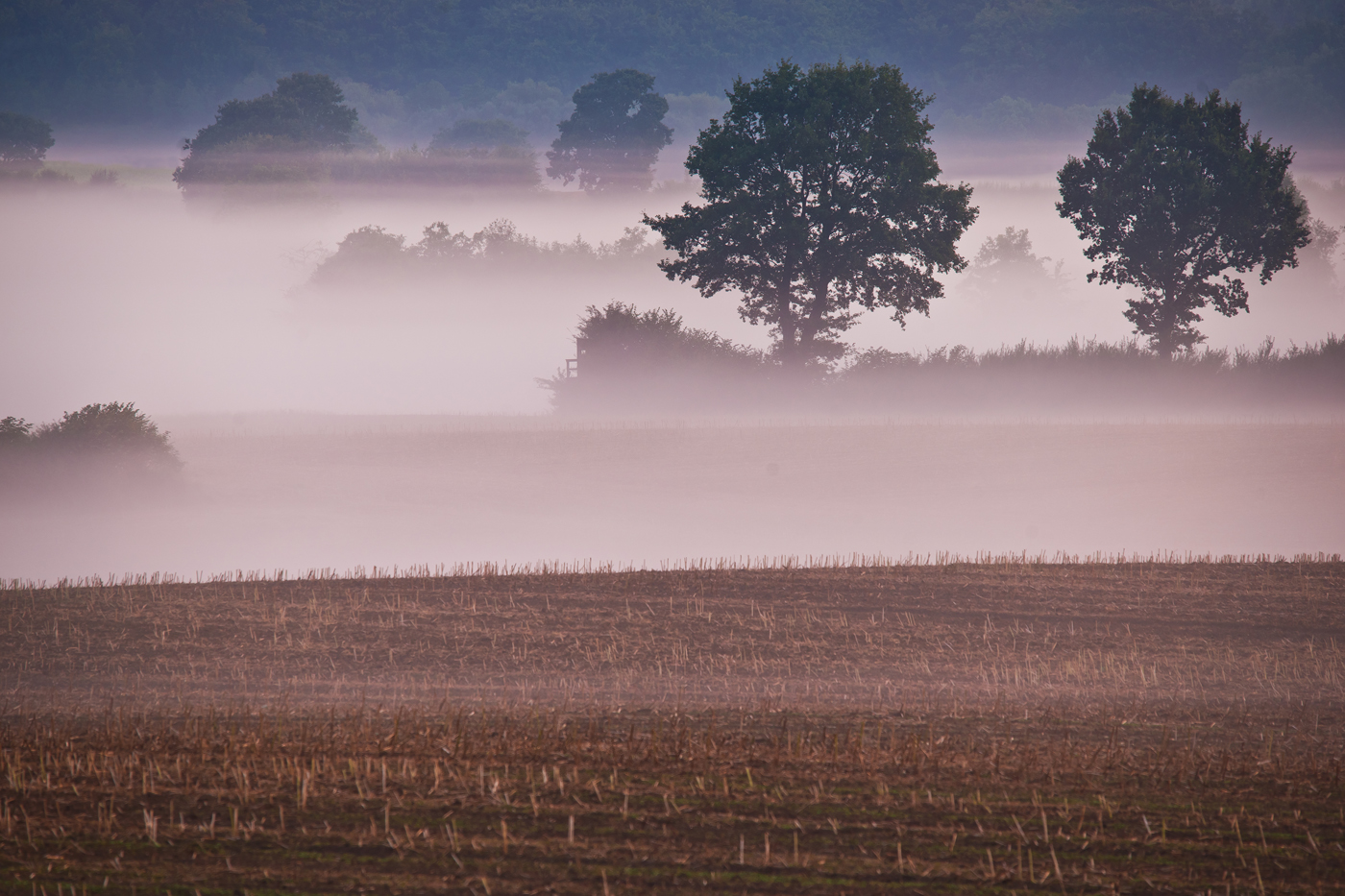 Spätsommermorgen