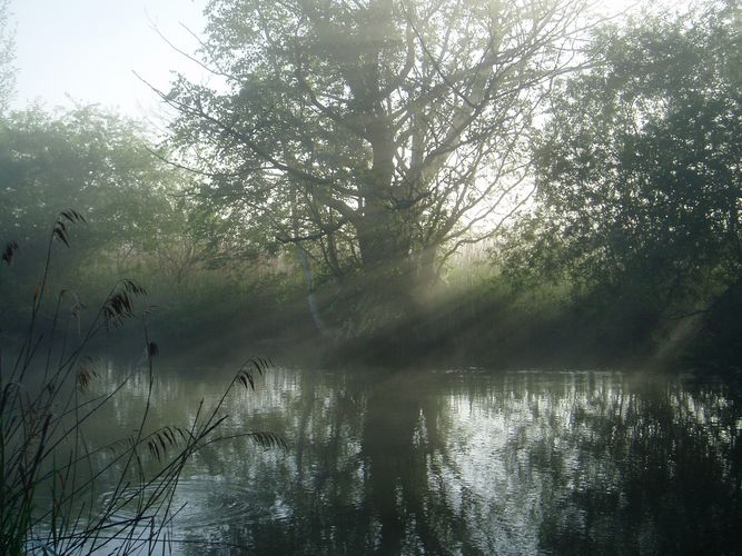 Spätsommermorgen am Fluß