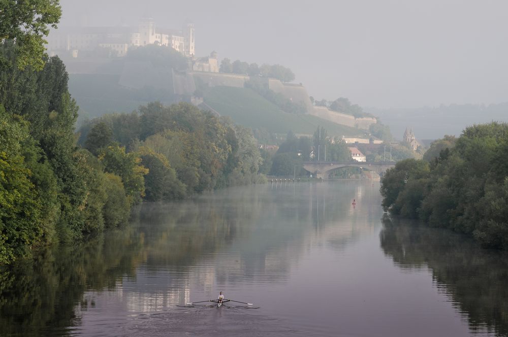 Spätsommermorgen am Main