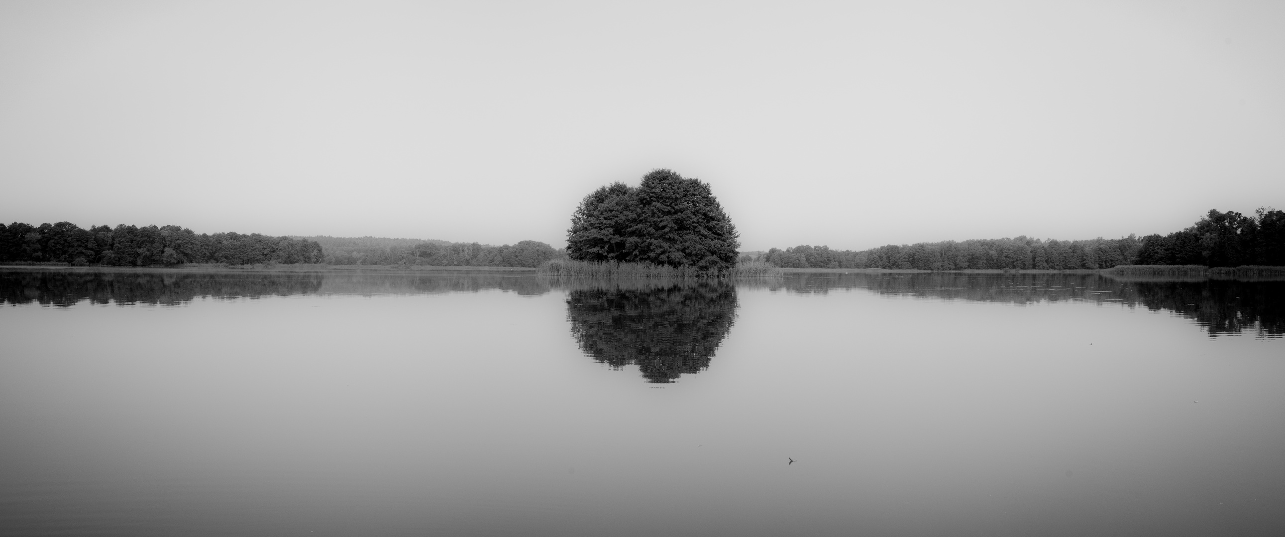 Spätsommermorgen am See