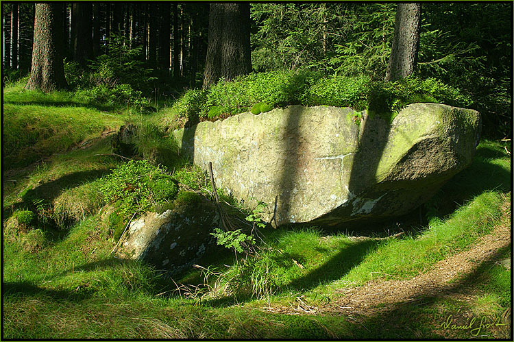 Spätsommermorgen im Hochharz