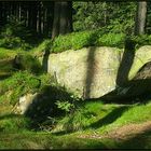 Spätsommermorgen im Hochharz