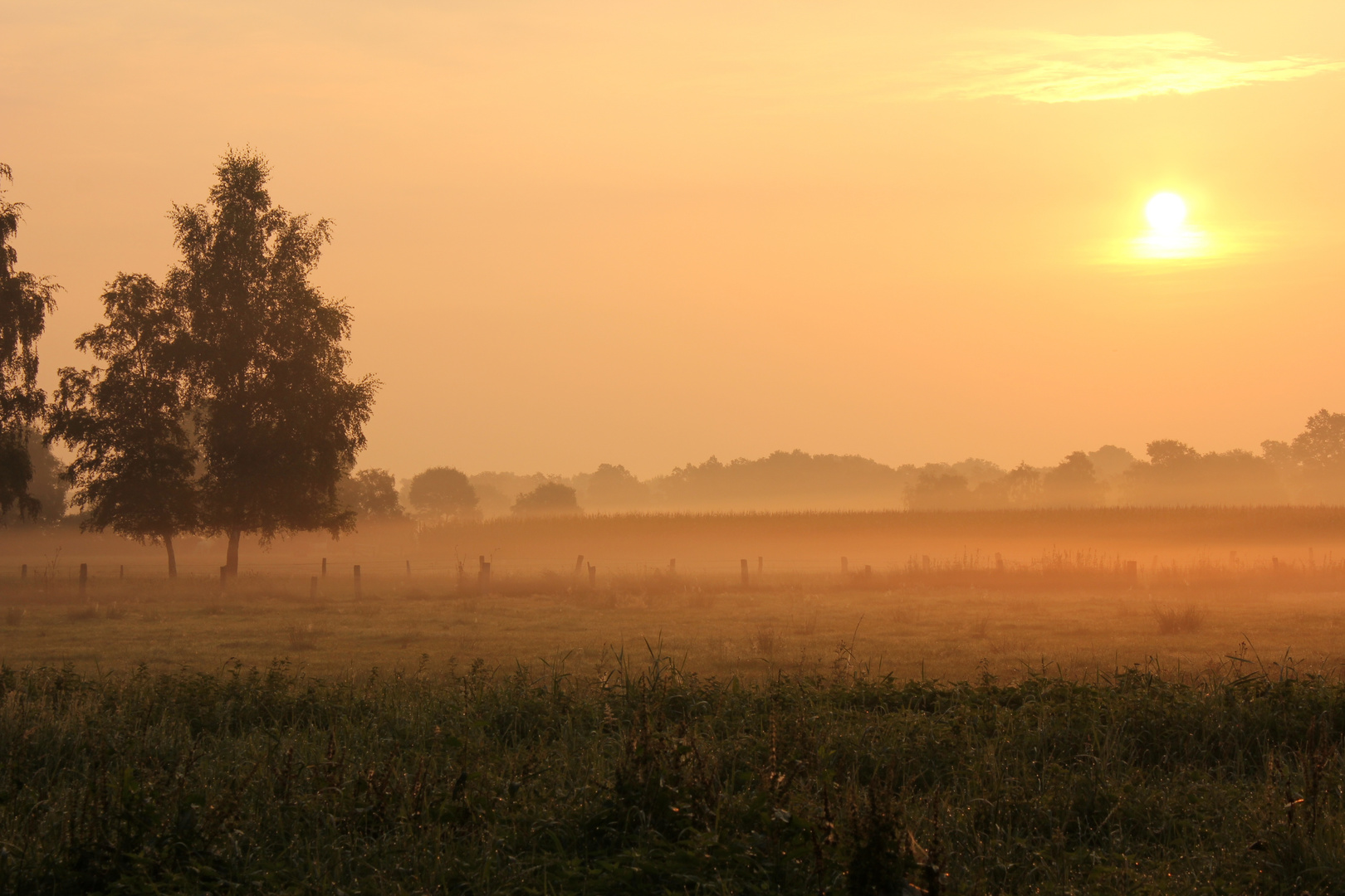 Spätsommermorgen im Nirgendwo