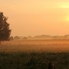 Spätsommermorgen im Nirgendwo