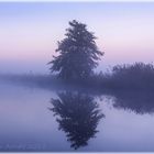 Spätsommermorgen im Teufelsmoor