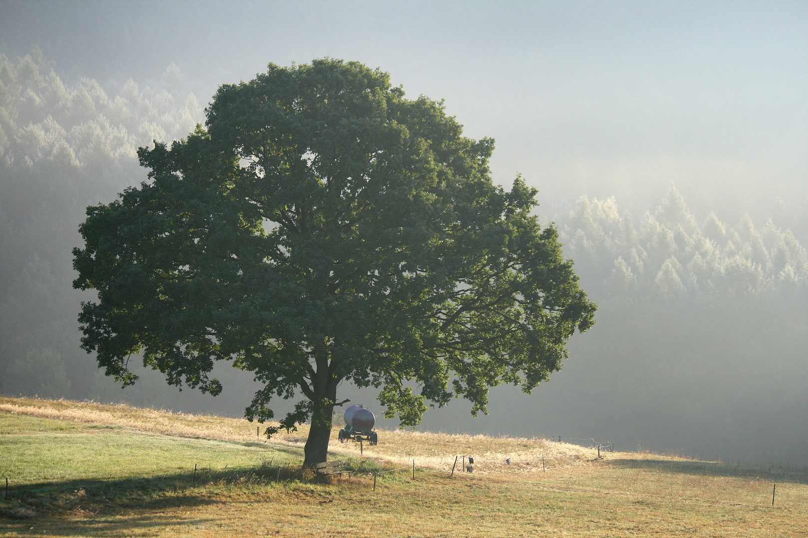 Spätsommermorgenstimmung