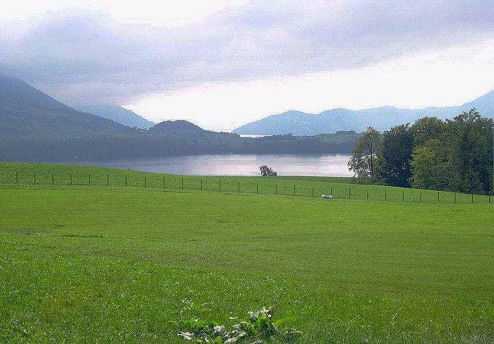 Spätsommermorgenstimmung