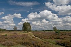 Spätsommernachmittag