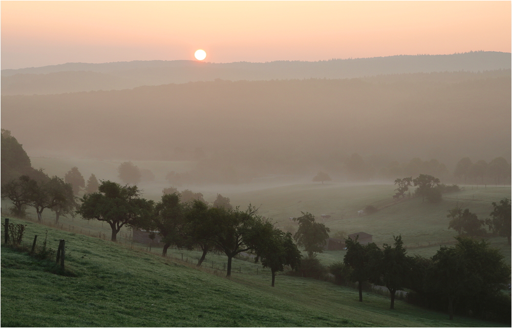 Spätsommernebel