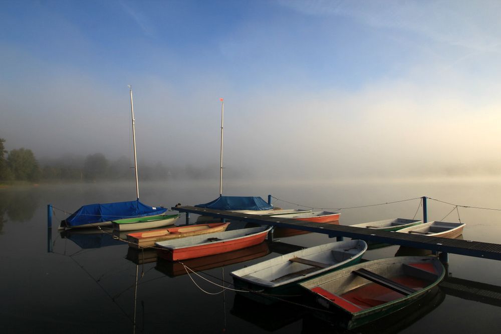 Spätsommernebel