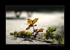 Spätsommerradtour