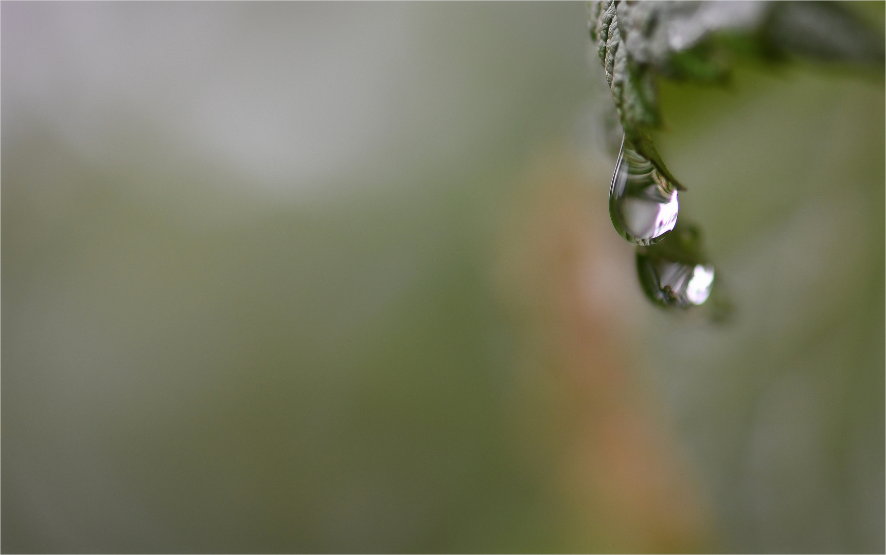 *Spätsommer°Regentröpfchen*