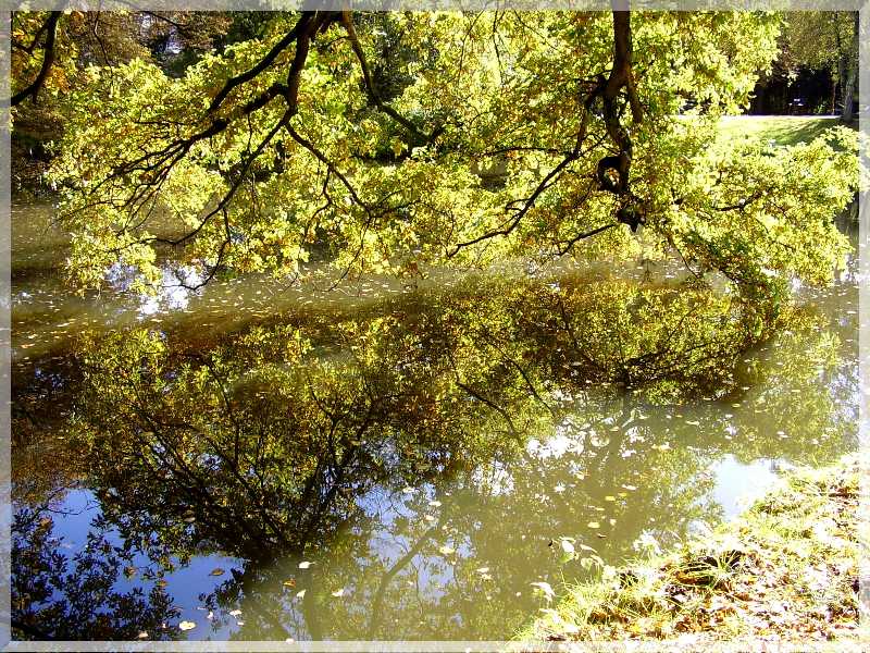 Spätsommerromantik im Bürgerpark