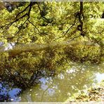 Spätsommerromantik im Bürgerpark